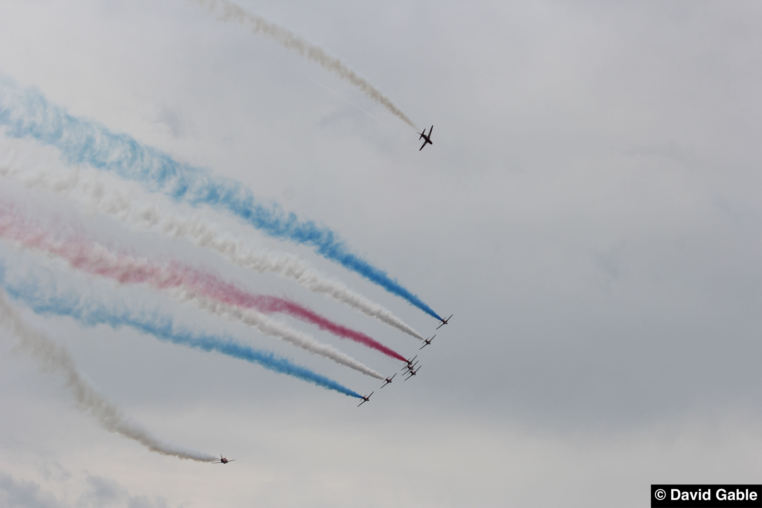 Hawk-Red-Arrows