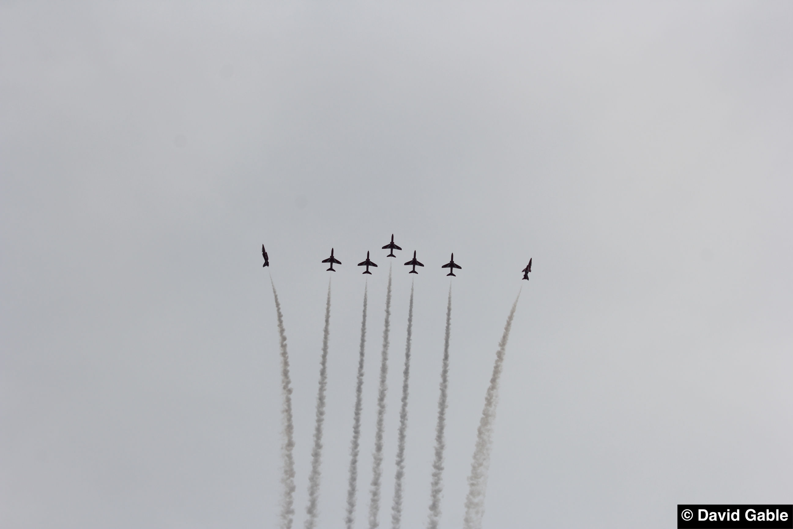 Hawk-Red-Arrows