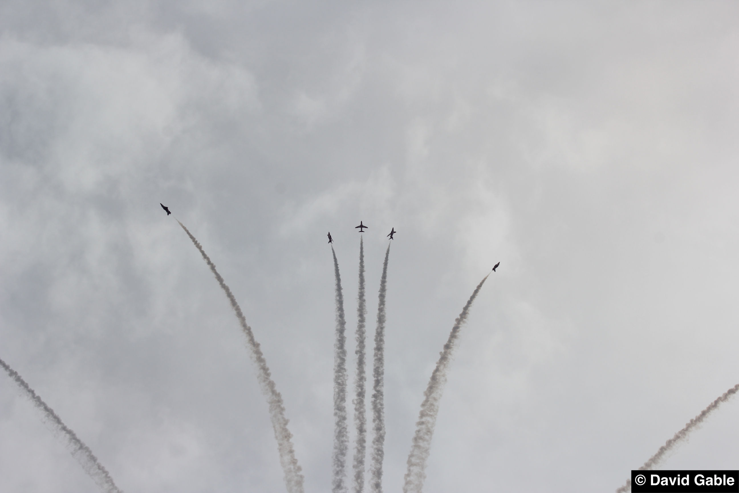 Hawk-Red-Arrows