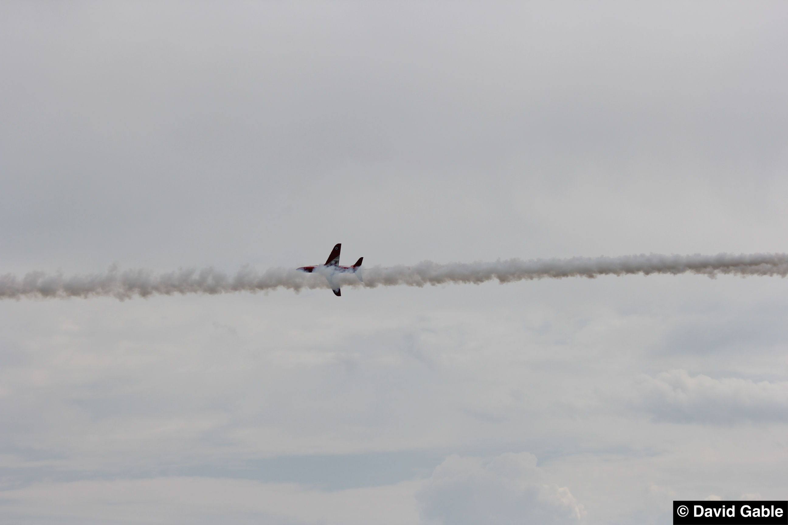 Hawk-Red-Arrows