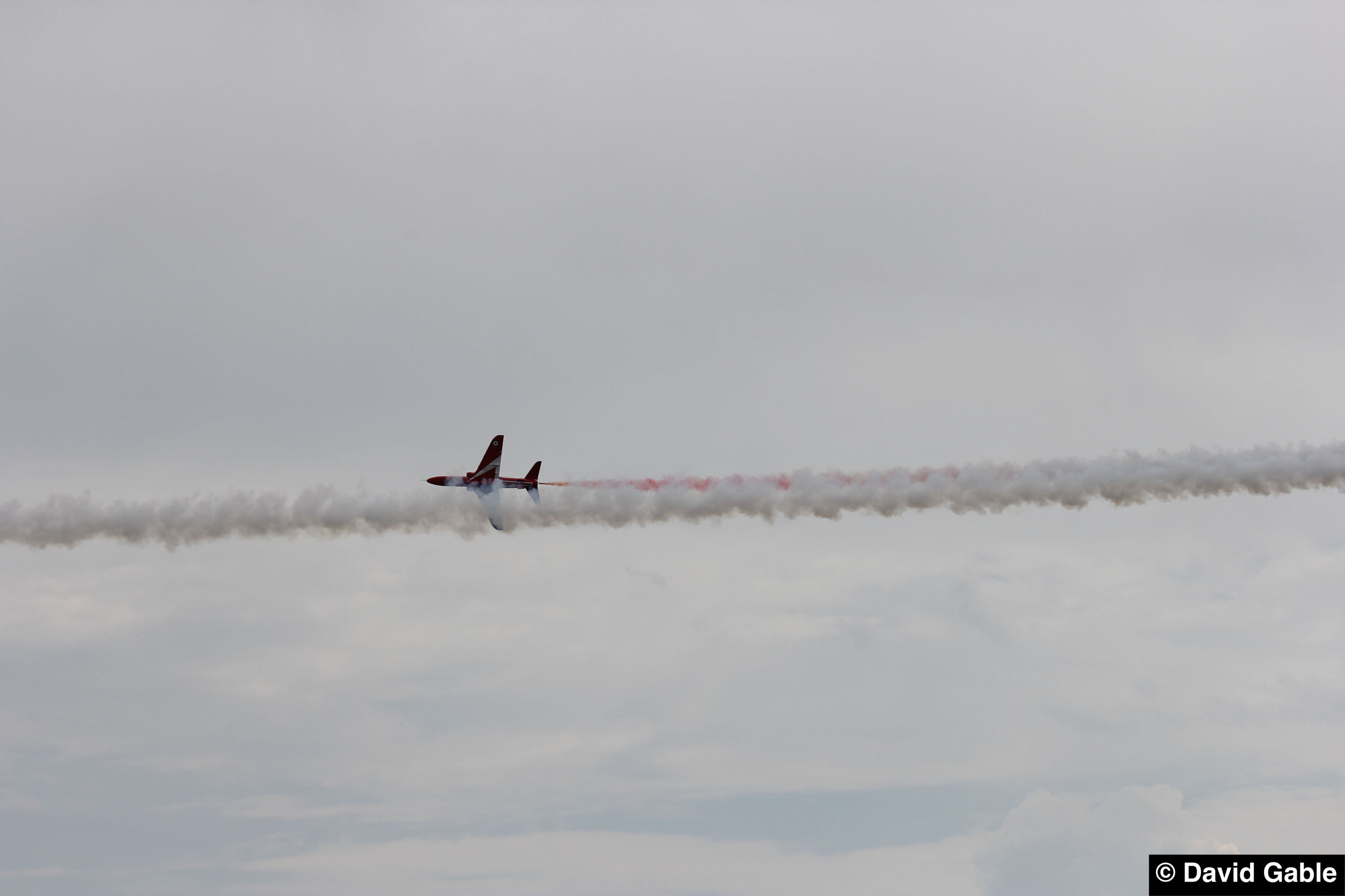 Hawk-Red-Arrows