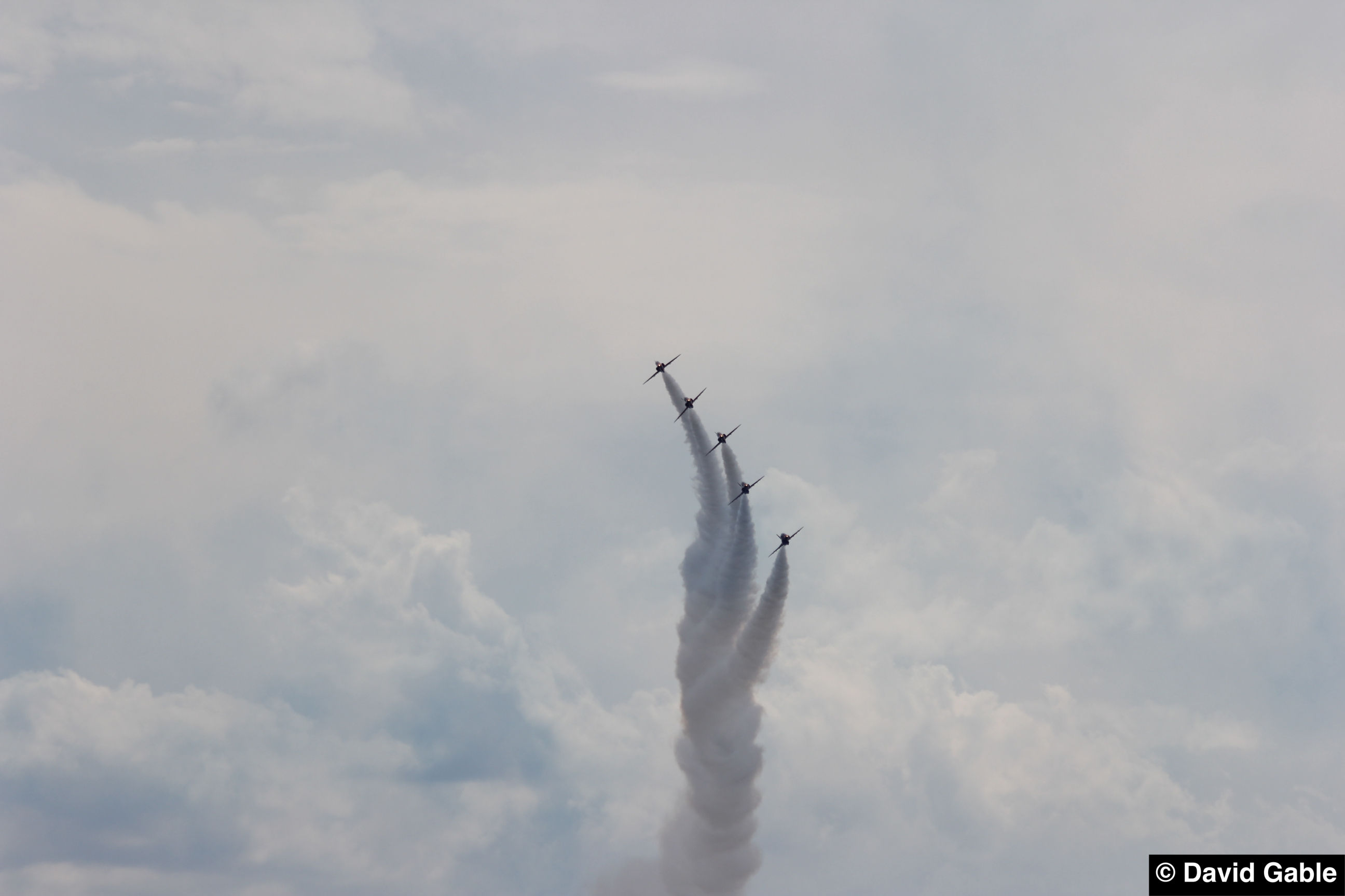 Hawk-Red-Arrows