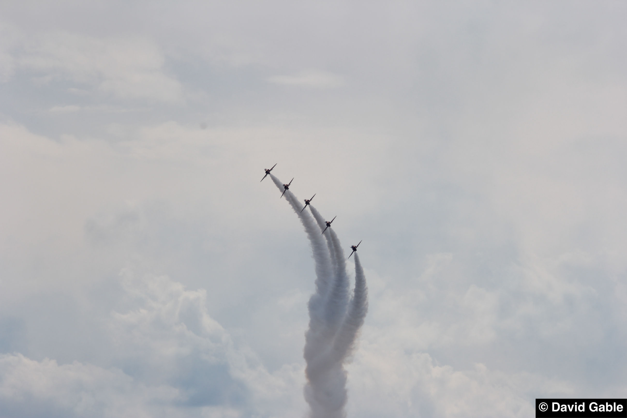 Hawk-Red-Arrows