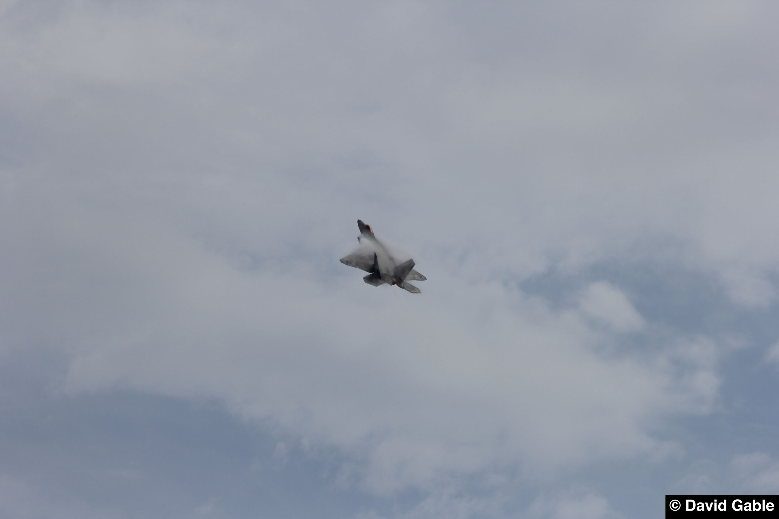 F-22A