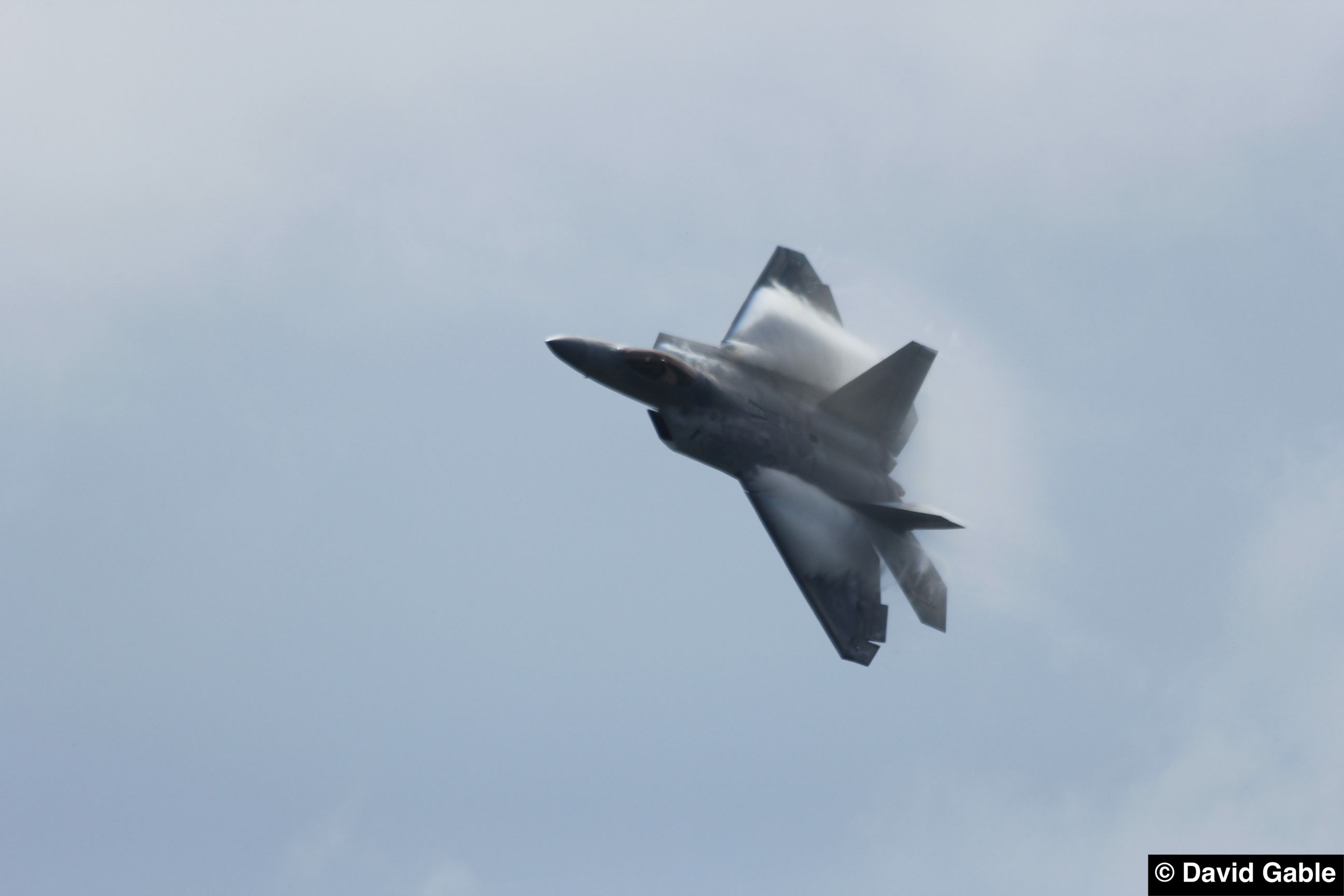 F-22A